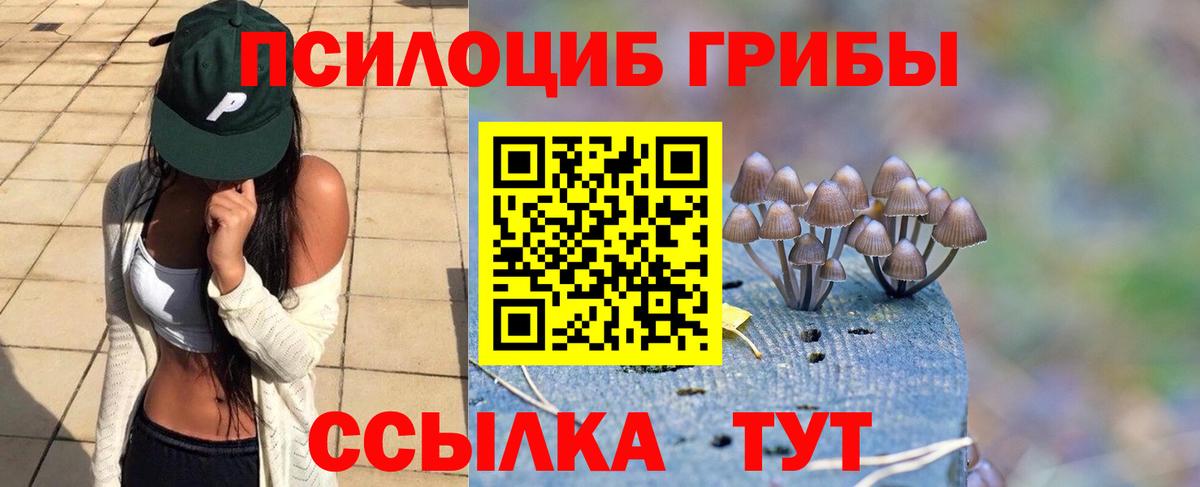 Скопин  Галлюциногенные грибы MAGIC MUSHROOMS  Вход с VPN  Псилоцибиновые грибы MAGIC MUSHROOMS 